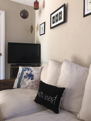 TV, fireplace, books
