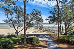 A pathway leading to a beach with a wooden boardwalk, surrounded by trees and shrubs.
