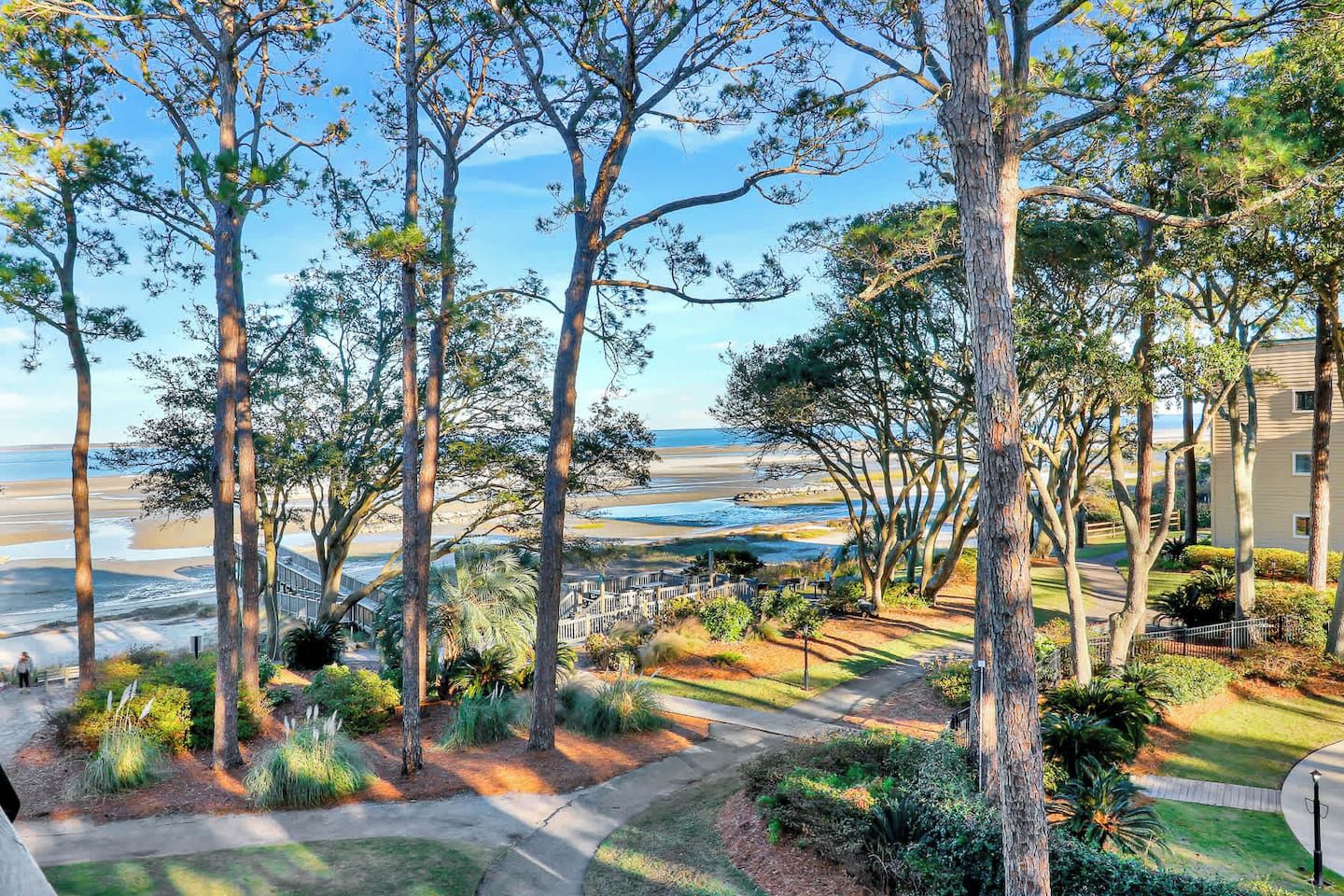 Bairro residencial com árvores altas, um caminho e vista para a praia.