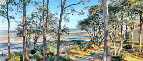 Zona residencial con árboles altos, un sendero y vista a la playa.