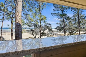 A beach view with trees and a wooden deck.