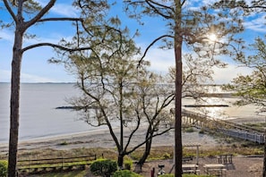 A beach view with trees, a pier, and a wooden walkway.