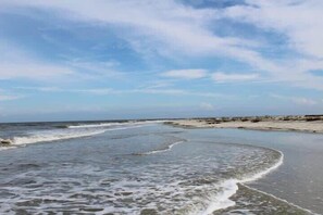 Playa en los alrededores 