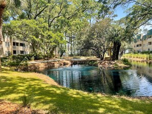 A serene pond surrounded by lush greenery and multi-story buildings.