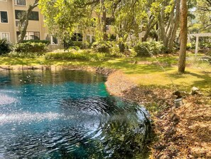 A tranquil outdoor area with a clear water feature, surrounded by lush greenery and a building in the background.