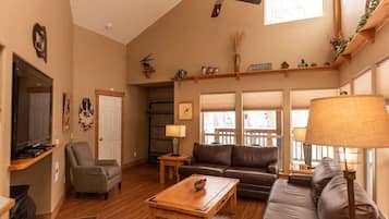TV, fireplace, books