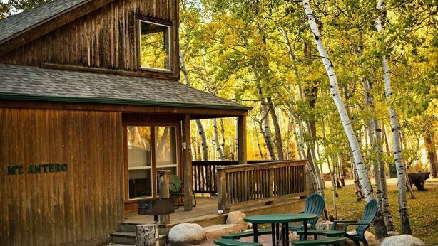 A rustic wooden building with a porch, outdoor seating, and a view of birch trees.