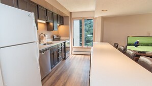 A modern kitchen with stainless steel appliances, a large window, and a flat-screen TV. - Gold Camp Miners' Inn Condo: Nice Location, Updates (Breckenridge)