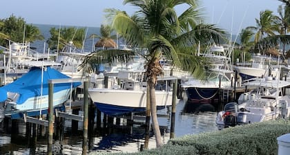 Oceanfront Villa overlooking the Atlantic and Molasses Reef Marina