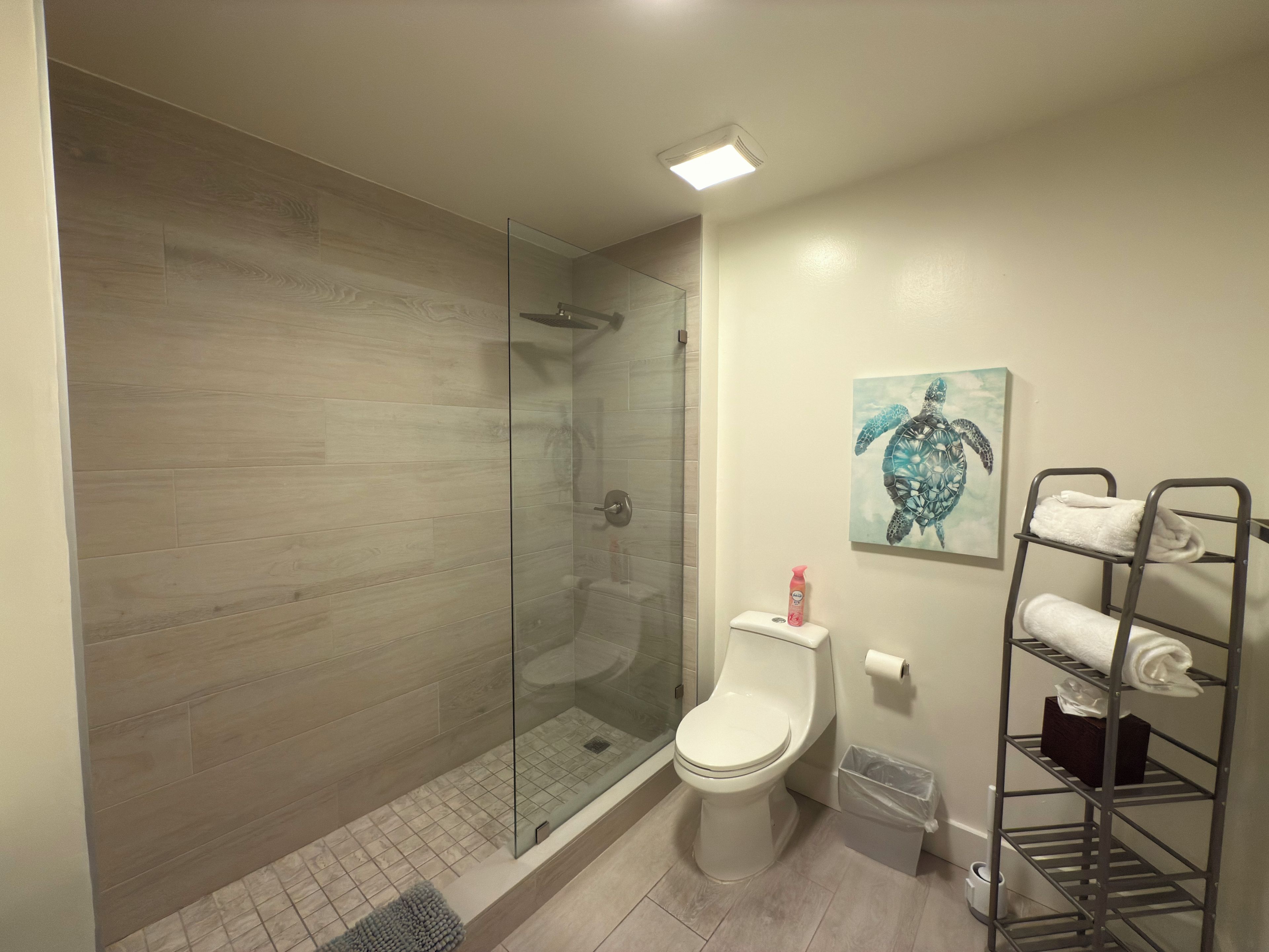 Un bagno moderno con doccia vetrata, un water e un porta asciugamani.