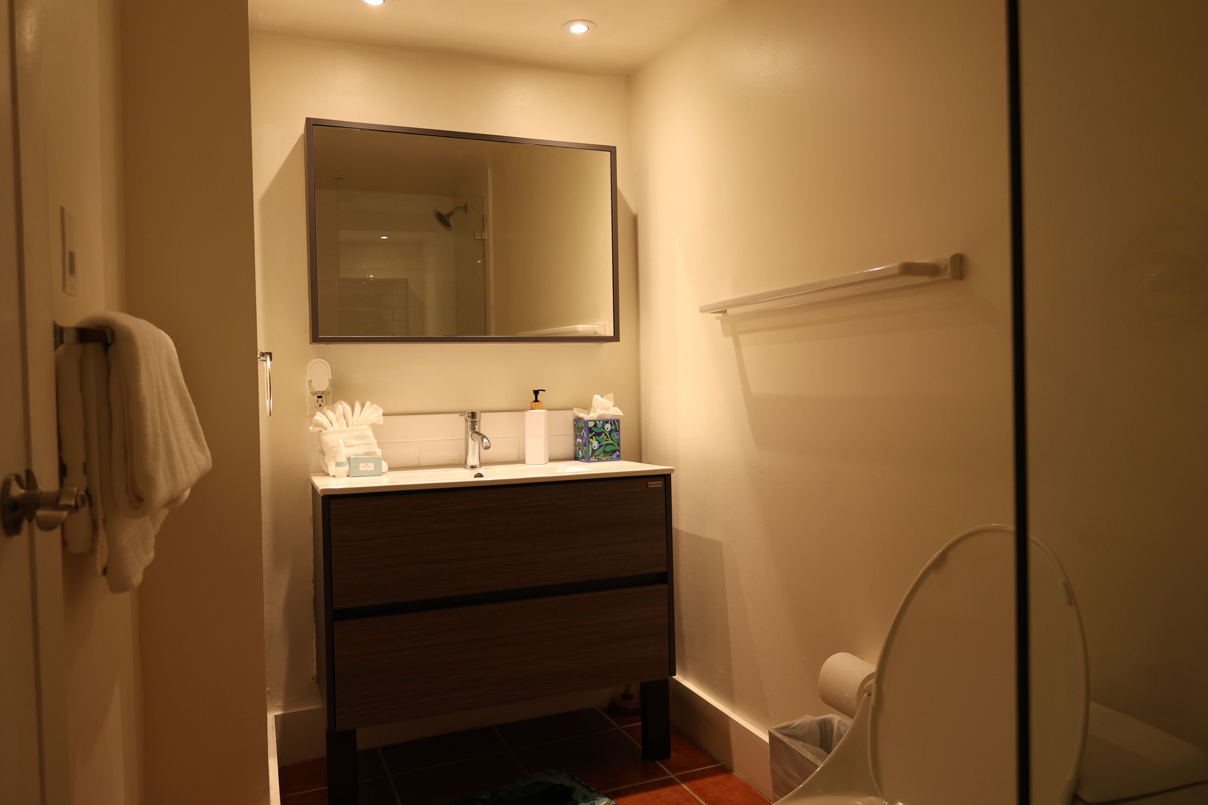 Une salle de bain avec un lavabo, un miroir et des toilettes.