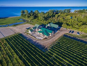 An aerial view of a large estate with a main building, multiple parking areas, and extensive vineyard fields. - Holiday Inn Express & Suites Windsor East - Lakeshore by IHG (Lakeshore)