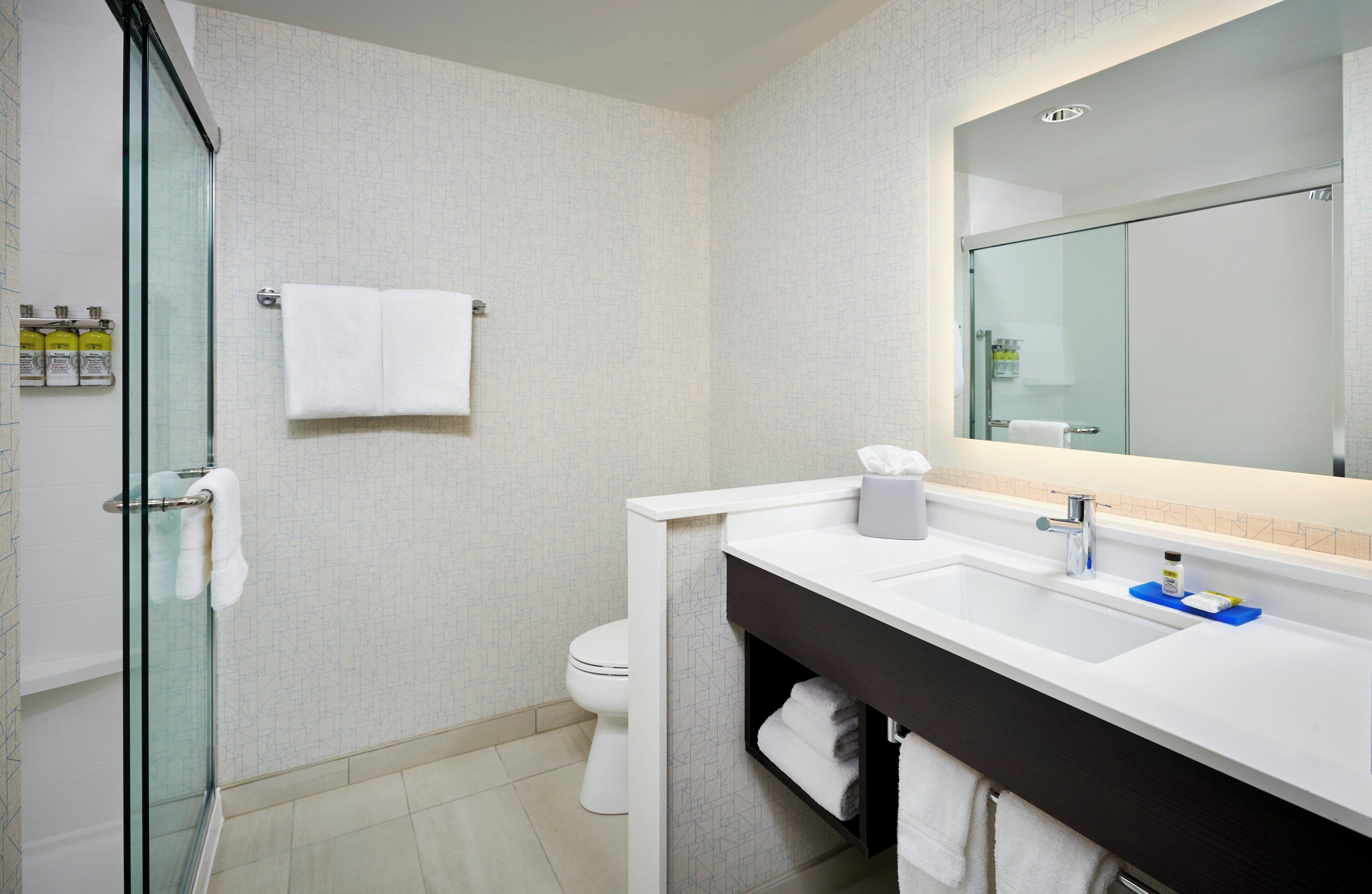 A modern bathroom with a glass shower enclosure, a white toilet, a large mirror, and a white sink with a dark countertop.