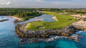 A coastal golf course with a water hazard, palm trees, and a view of a residential area in the background.