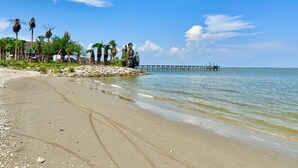 A beach with a rocky shoreline, palm trees, and a pier extending into the water.