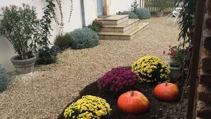 A garden with various plants and pumpkins, a white building with blue shutters, and a gravel pathway. - Gîte en Sancerrois (Menetou-Râtel)
