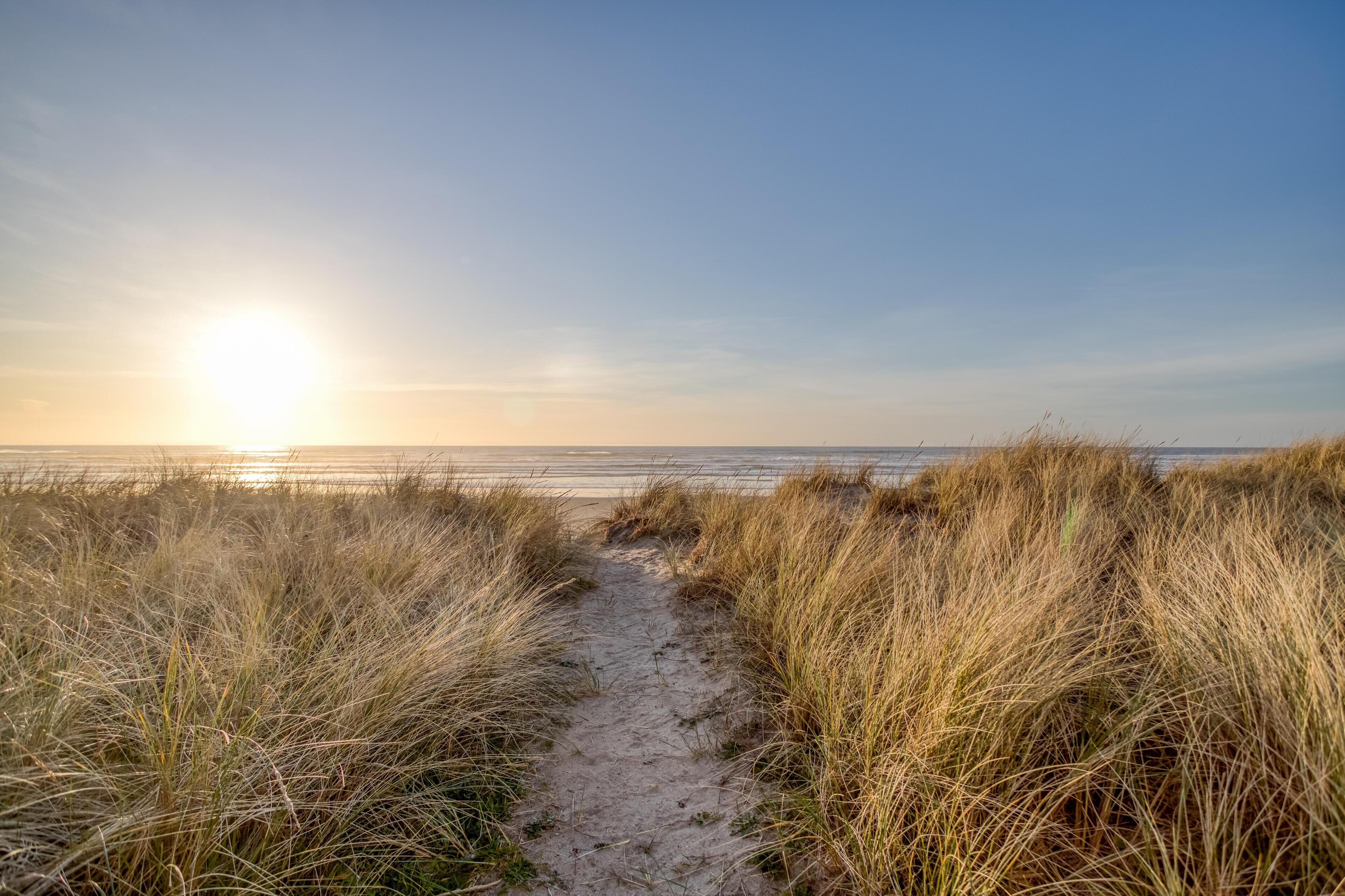 Beach | On the beach