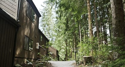 Contemporary MT BAKER Condo