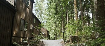 Contemporary MT BAKER Condo