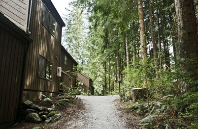 Contemporary MT BAKER Condo