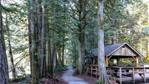 Un área boscosa con un sendero de grava que lleva a una estructura de madera con bancos.