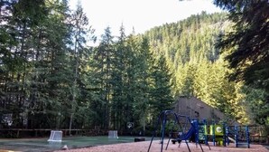 Un parque infantil con columpios y estructuras para escalar, rodeado de un bosque denso.