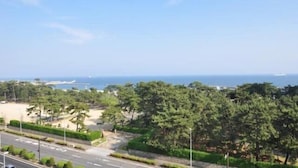 Une route côtière offrant une vue sur la mer et menant à une plage.