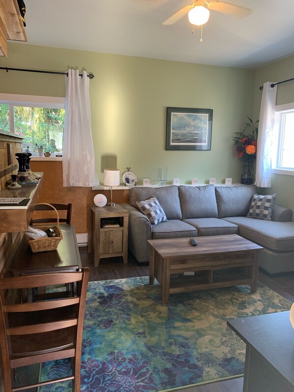 Smart TV, fireplace, books