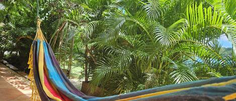 Una hamaca bajo una zona sombreada con exuberante follaje verde al fondo.