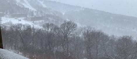 Studio, Multiple Beds (Sugar Ski & Country Club Unit 11-402 ) | Balcony