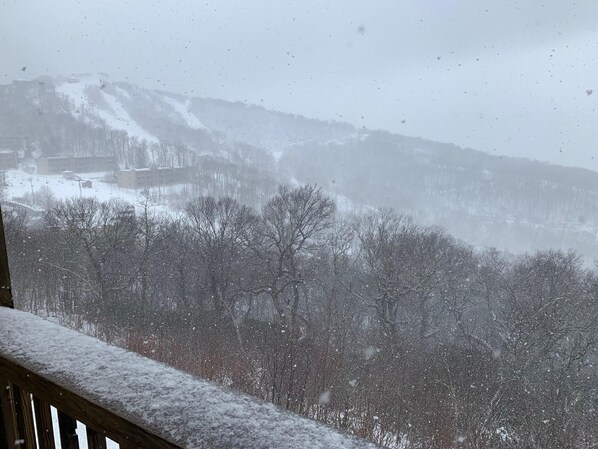 Studio, Beberapa Tempat Tidur (Sugar Ski & Country Club Unit 11-402 ) | Balkon