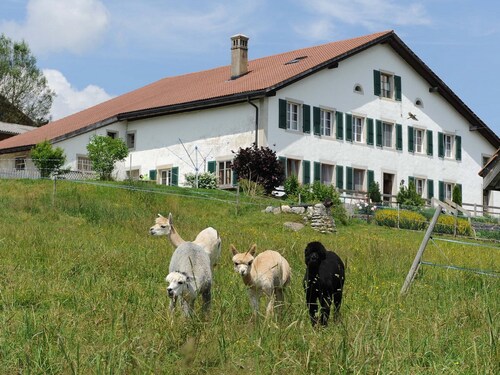 Gîte - Ferme O'Clés by Interhome