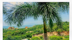 A pool with a view of a coastal landscape, surrounded by lush greenery and a palm tree. - ☺ PUNTAGAVIOTA ☺ HUATULCO ☺ ARROCITO BEACH ☺ (Santa Cruz Huatulco)