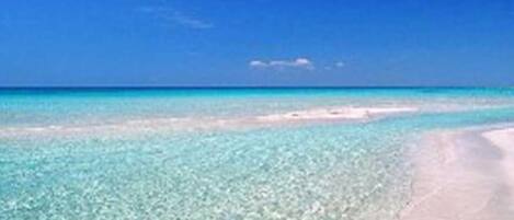 Liegestühle, Strandtücher