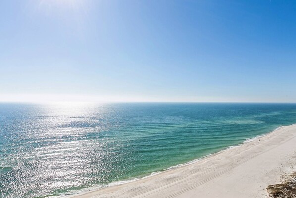 Unclassified image, 1 of 50, button