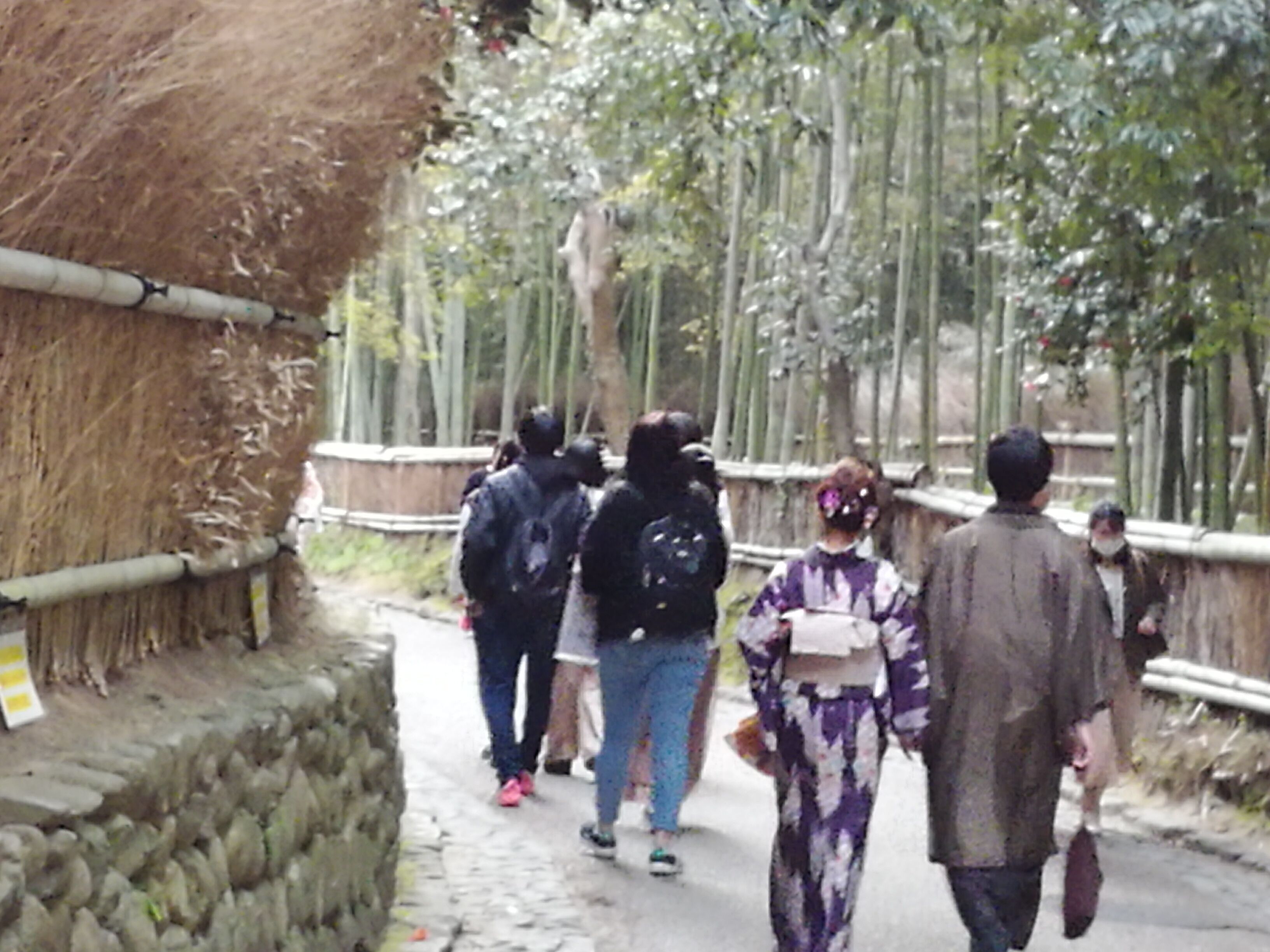 A pathway lined with bamboo trees, a stone wall on one side, and a group of people walking.