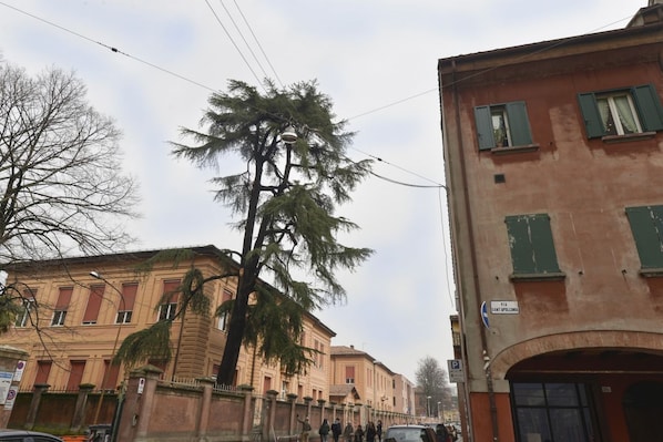 A street view with a tall tree in the center, buildings with red shutters, and a sign indicating a parking area.