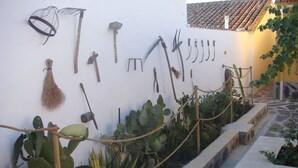 Un conjunto de herramientas de jardinería y un jardín de cactus.