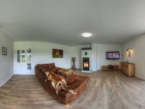 Televisión y chimenea 