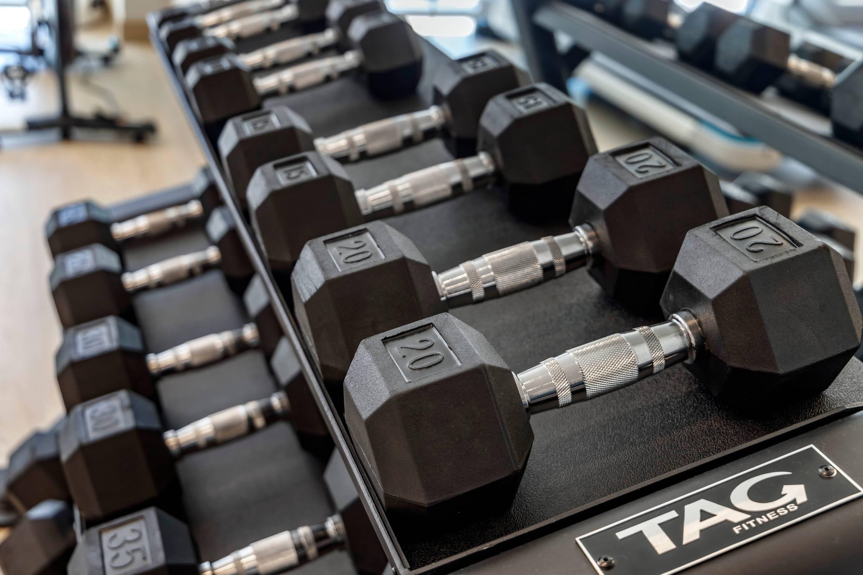 A rack of dumbbells with weights marked from 5 to 20 kilograms.