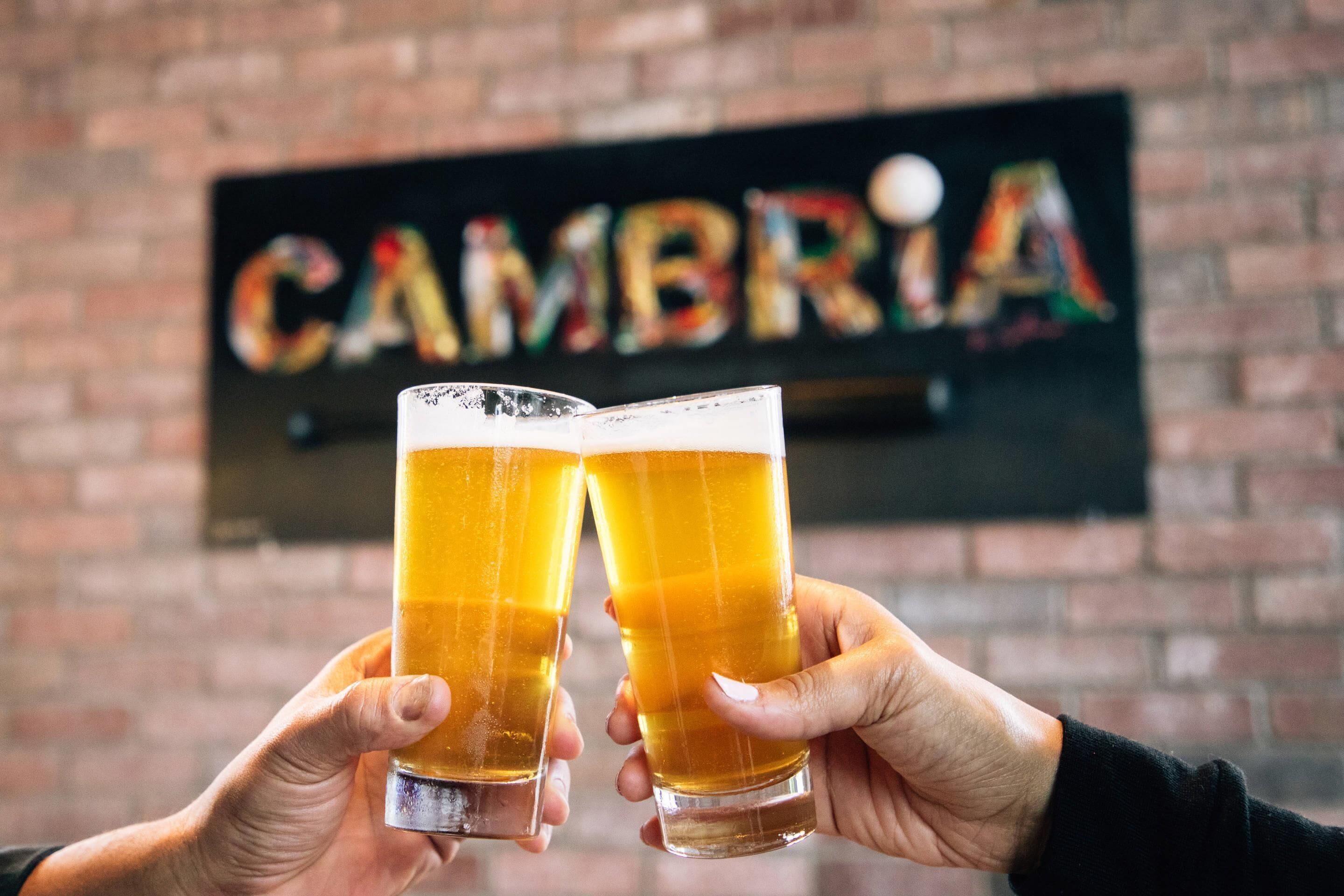 Two hands holding glasses of amber beer in front of a brick wall with a sign that reads "CAMBRIA".