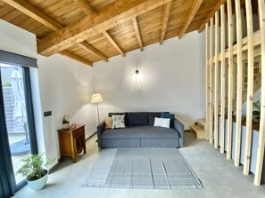 Smart TV, fireplace, books