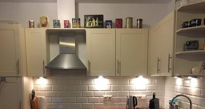 Authentic dike house Nieuw Vliet