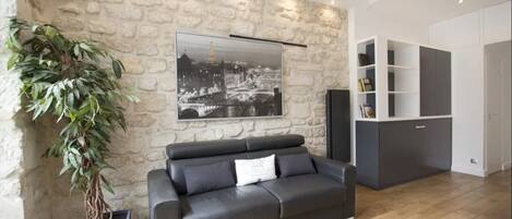 Smart TV, reproductor de DVD, libros