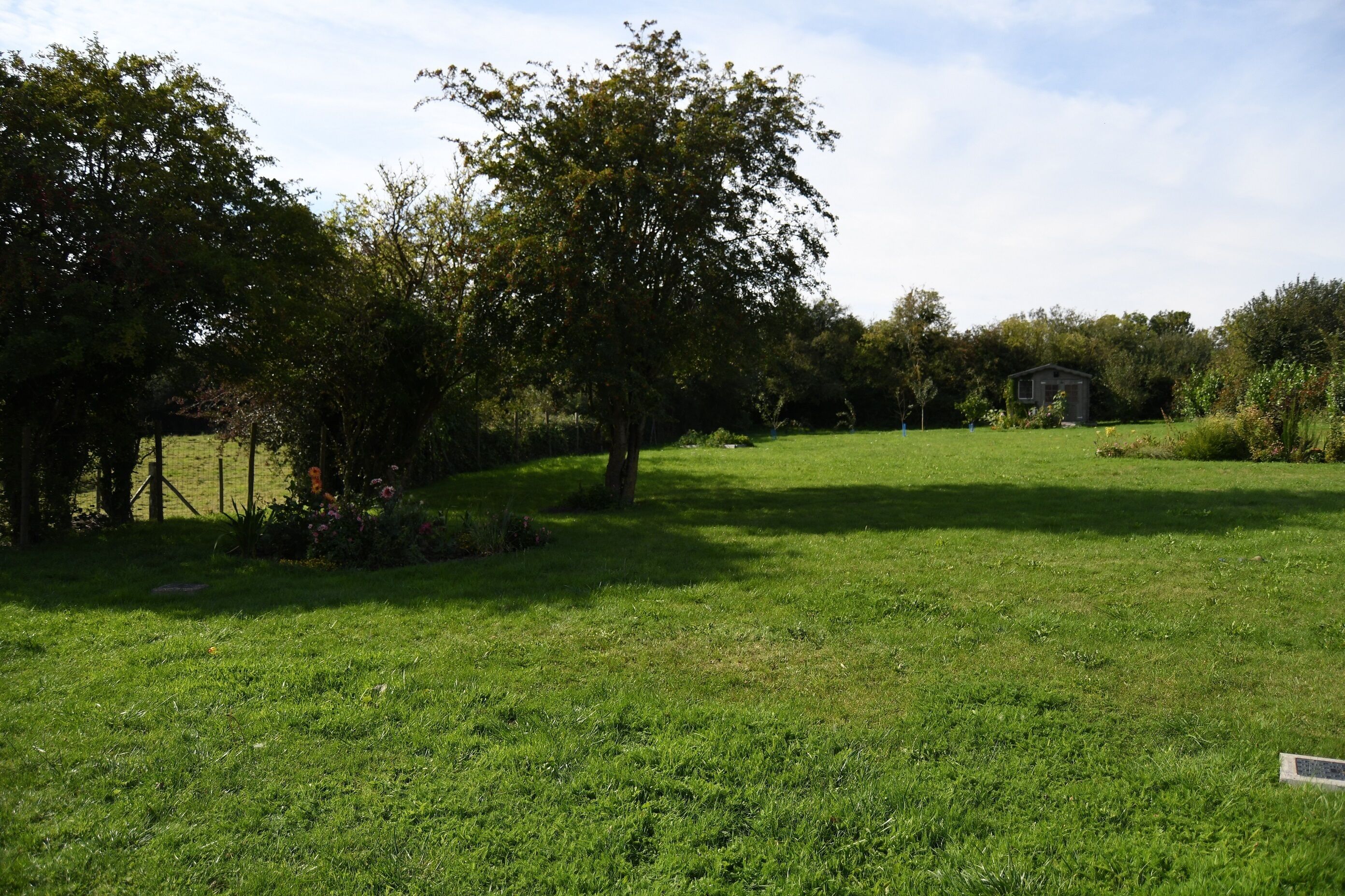A grassy field with trees and a small building in the distance.