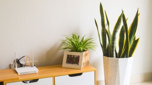 A wooden desk with a router, a framed picture, and a potted plant. - Spacious and Modern Service Apartment in Hochiminh (Ho Chi Minh City)