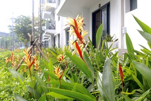 المنطقة المحيطة بالمنشأة