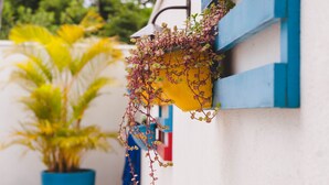 A potted plant in a blue pot and a hanging planter with red flowers on a white wall. - Pousada Recanto das Vertentes (Capitólio)