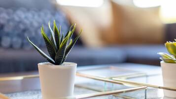 Klassiek appartement | Woonruimte | Een 28-inch smart-tv met kabelzenders, een televisie en Netflix