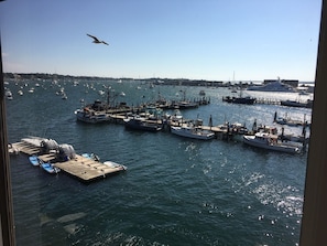Boats docked at the marina, surrounded by calm waters.